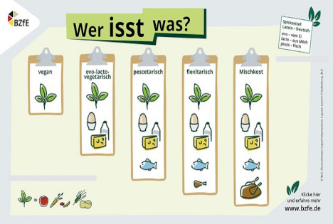 Wer Isst Was? - Neue BZfE-Infografik Für Den Unterricht ‹ Fruchtportal